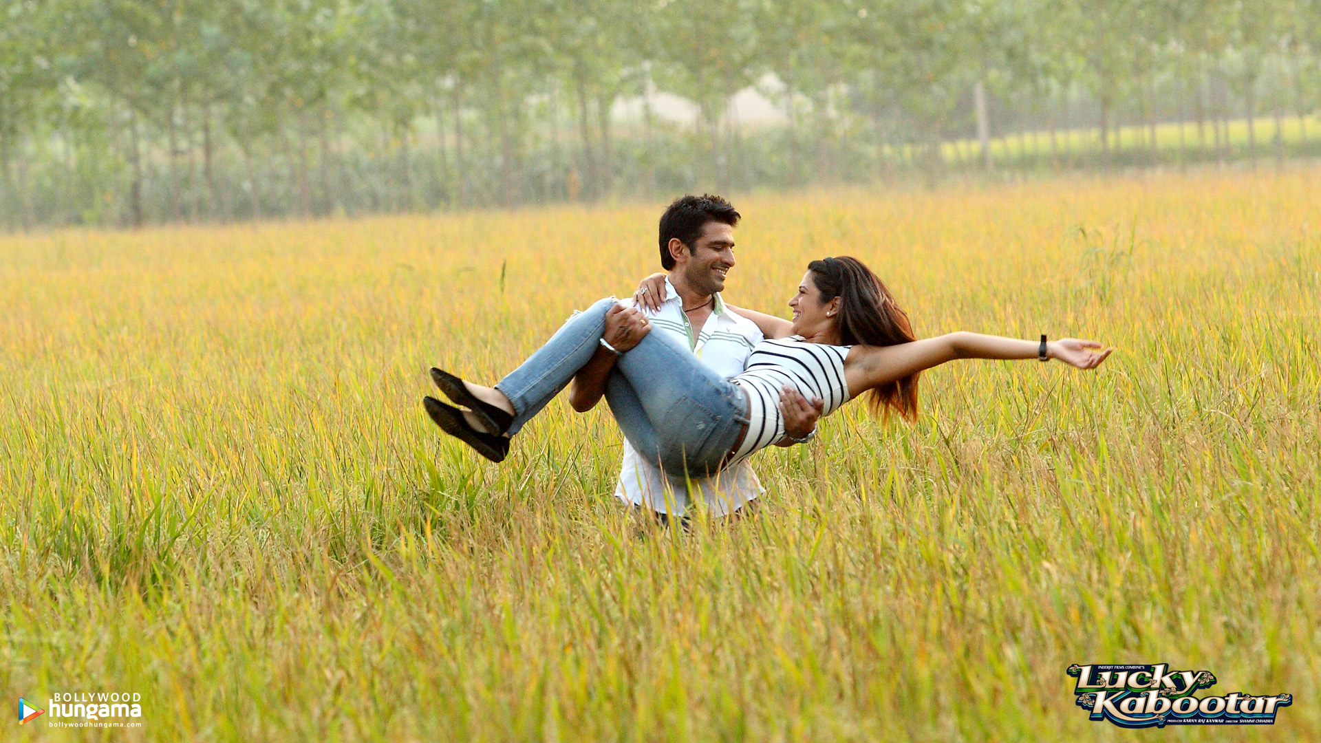 Lucky Kabootar 2014 Wallpapers Lucky Kabootar 4 Bollywood Hungama