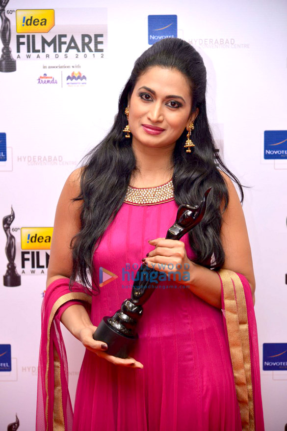 60th South Filmfare Awards 2013