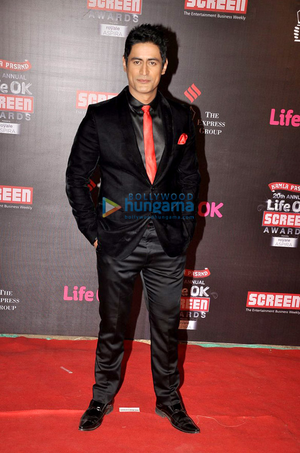 20th Annual Life OK Screen Awards | Mohit Raina Images - Bollywood Hungama