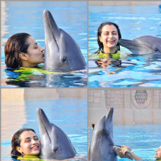 South actress Trisha Krishnan gets trolled over sharing pictures with Dolphin during her Dubai vacation