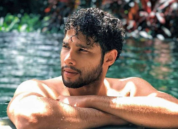 After Gully Boy, Siddhant Chaturvedi to star in Yash Raj Films' romantic comedy? 