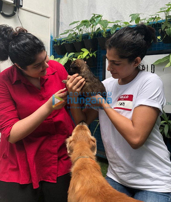 Photos: Anshula Kapoor and Kubbra Sait spotted at World For All Animal Shelter