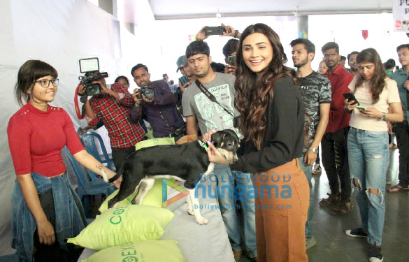 Photos: Daisy Shah, Zaheer Iqbal and Natasha Dalal grace Adoptathon 2019