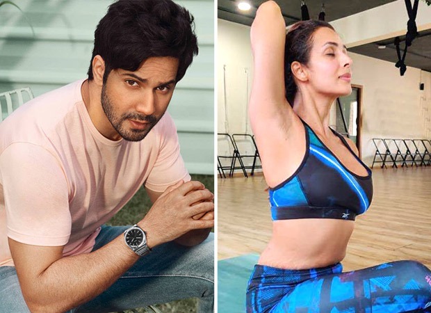 वरुण धवन ने मलाइका अरोड़ा की सांस लेने की एक्सरसाइज ट्यूटोरियल को शेयर करते हुए कहा कि यह वास्तव में मददगार है