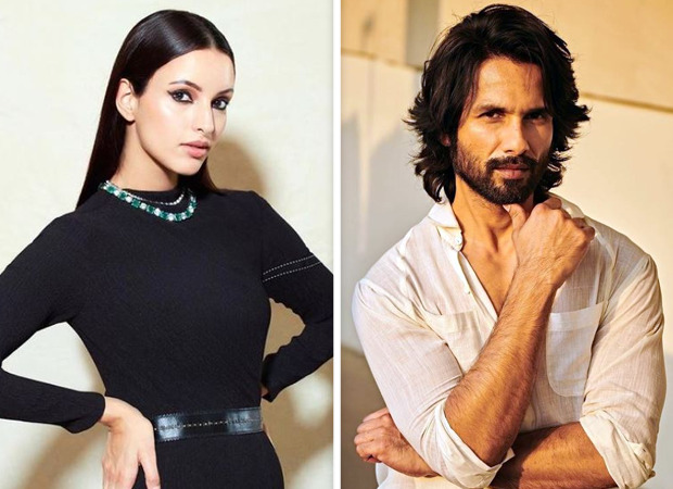 Triptii Dimri to be the leading lady of Shahid Kapoor’s next with Sujoy Ghosh