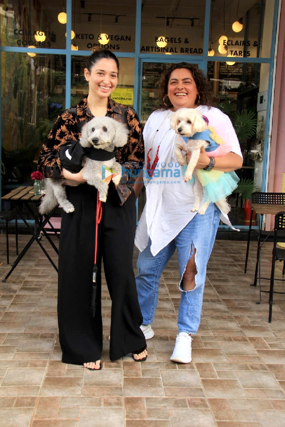 Photos: Tamannaah Bhatia snapped with her pet in Versova Photos: Tamannaah Bhatia snapped with her pet in Versova