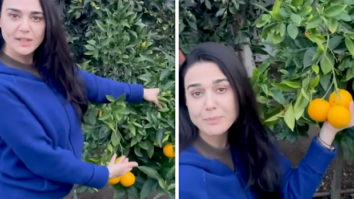Preity Zinta shows off her orange harvest in latest video; says, “After oranges from Nagpur these oranges are my favourite”