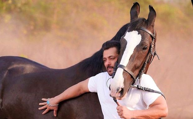 Salman Khan strikes a pose with a horse, see photo 