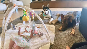 Priyanka Chopra shares adorable photos of her daughter Malti Marie with her pet dogs