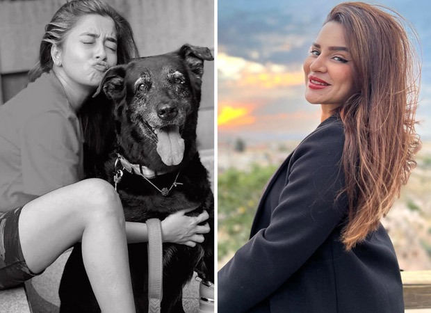 Bigg Boss 16: Tina Datta receives support from television celebs; former contestant Aashka Goradia pens a heartfelt note : Bollywood News - Vimarsana News